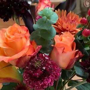 Meet your Posher, Karen